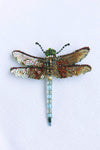 Emperor Dragonfly Brooch Pin Tan Multi