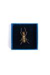 Gold Ant Brooch Pin Gold