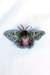 Silk Moth Brooch Pin Pink