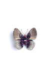 Acraea Butterfly Brooch Pin Crimson