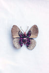 Acraea Butterfly Brooch Pin Crimson